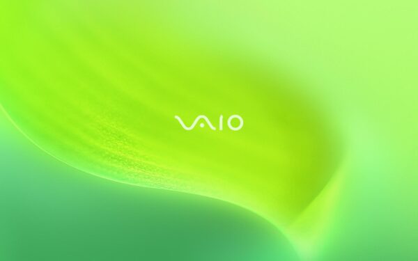 Sony VAIO Green Leaf Wallpaper