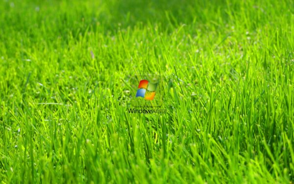 Windows Vista Green Grass Big Wallpapers